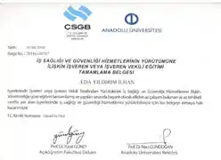 İş Sağlığı ve Güvenliği Hizmetlerinin Yürütümüne İlişkin İşveren veya İşveren Vekili Eğitimi Sertifikası Thumb